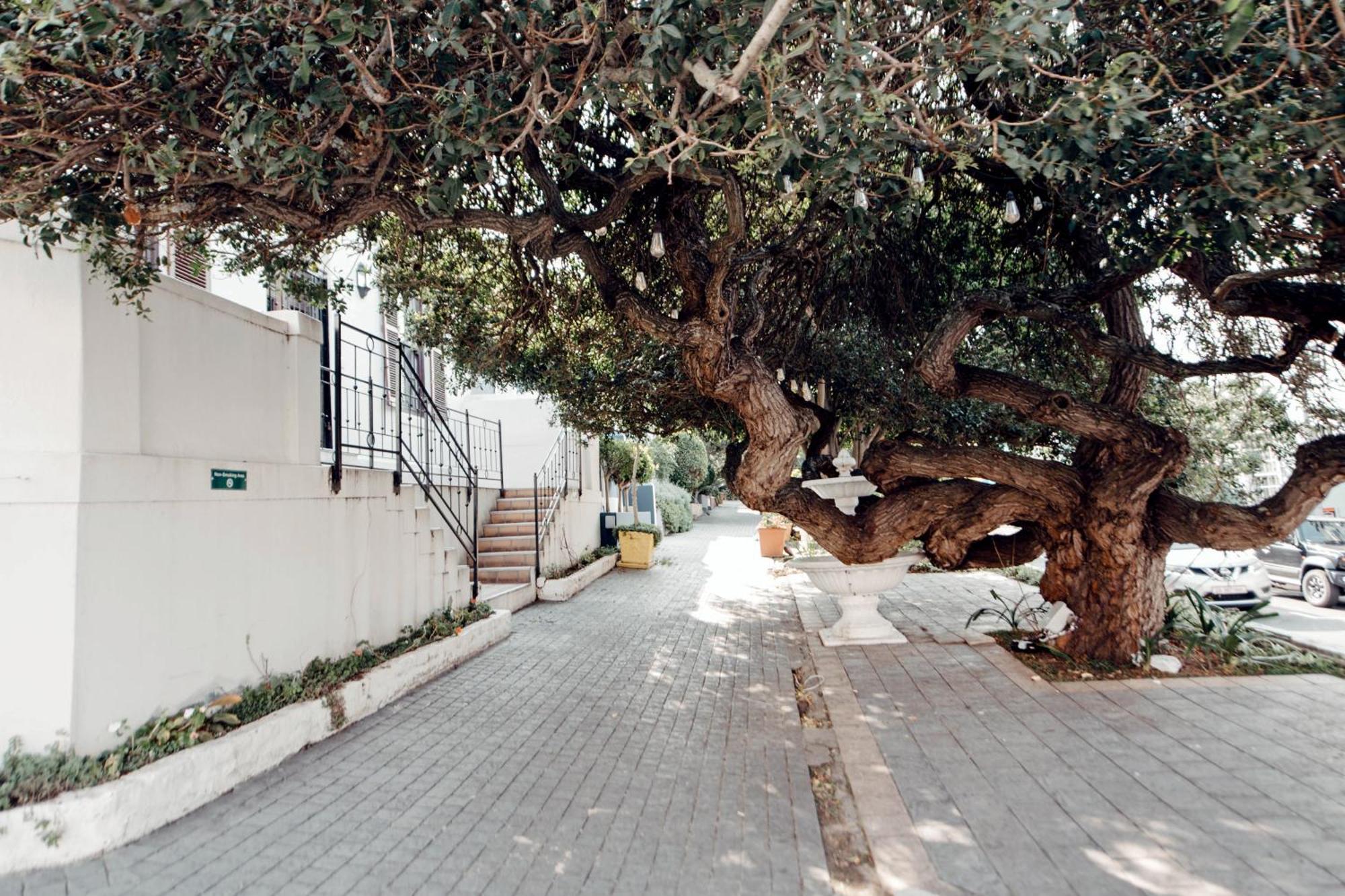 De Waterkant With Cape Finest Apartamento Cidade Do Cabo